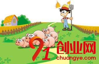 武大學生跨界創業回鄉養豬 實現回鄉創業的夢想