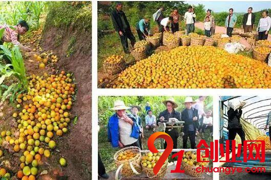 2018年做農業，這十條紅線碰都不要碰！