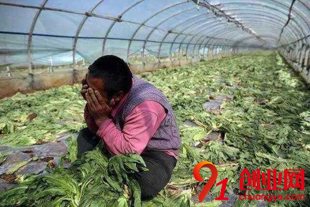 2018年做農業，這十條紅線碰都不要碰！