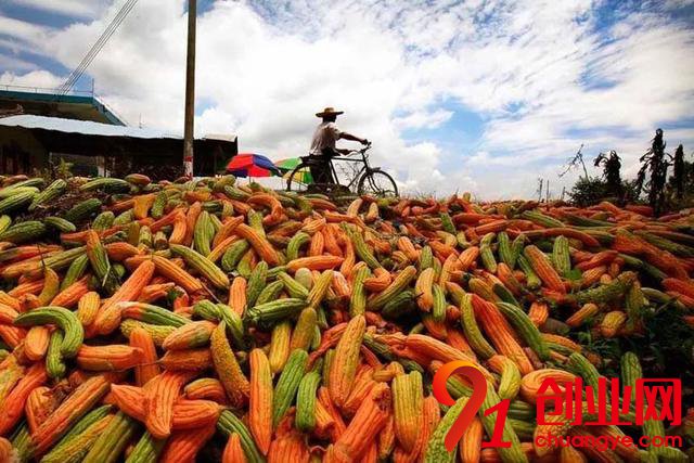 2018年做農業，這十條紅線碰都不要碰！