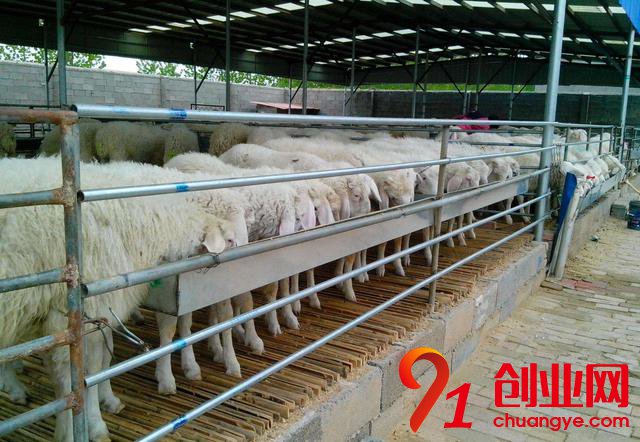 想做農業的,2018年再干這三件事,只有死路一條!