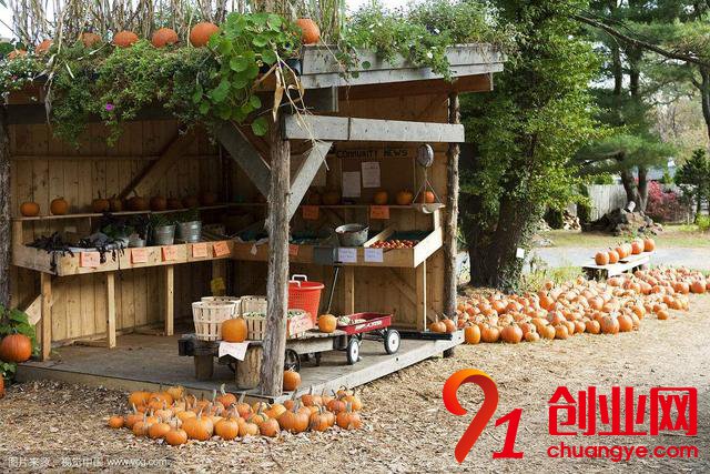 想做農業的,2018年再干這三件事,只有死路一條!