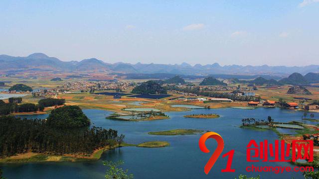 農村創業養殖什么比較賺錢