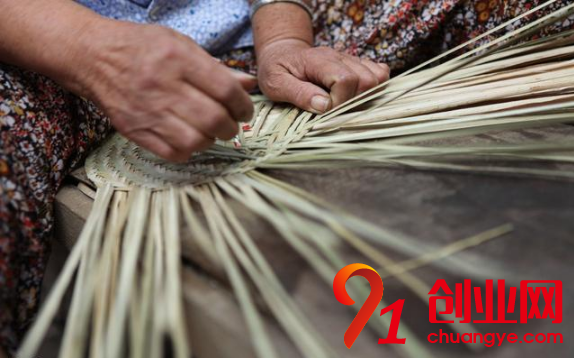 2018年回農(nóng)村創(chuàng)業(yè)，這幾個致富項目可以試一試