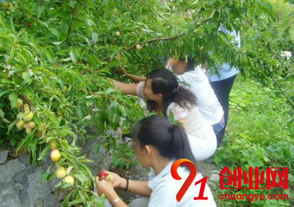 適合農(nóng)村創(chuàng)業(yè)的項目有哪些