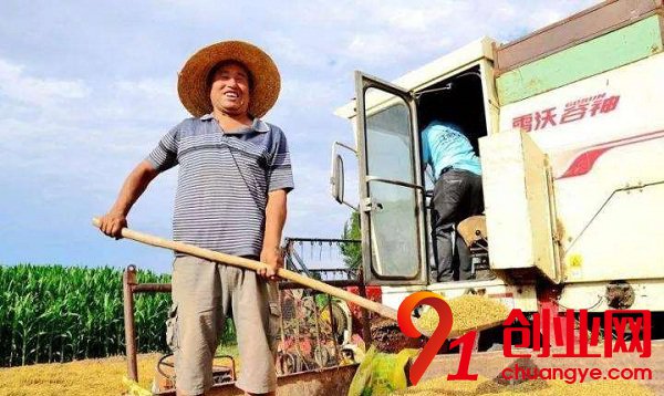 農村的四個創業點子