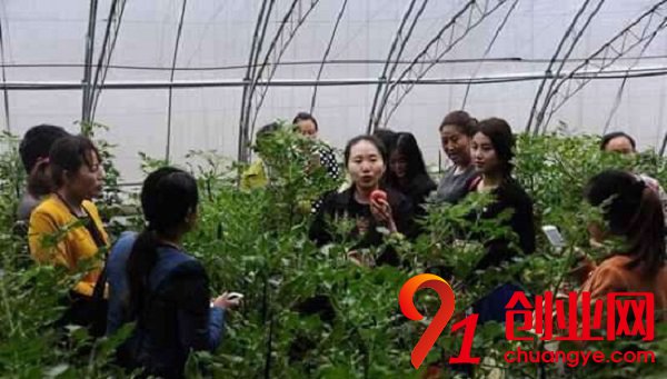 農村的四個創業點子