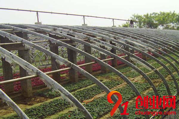 這幾個賺錢的門道就在你身邊，千萬別小瞧