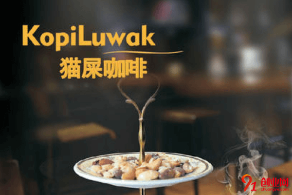 貓屎咖啡加盟費要多少?加盟地址在哪里?