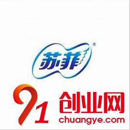 蘇菲衛(wèi)生巾