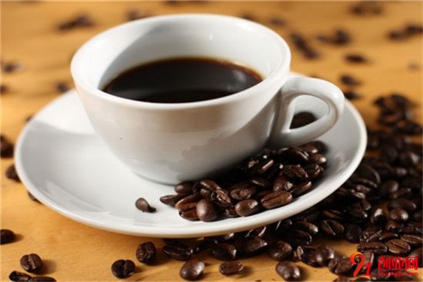 辛巴布咖啡加盟條件