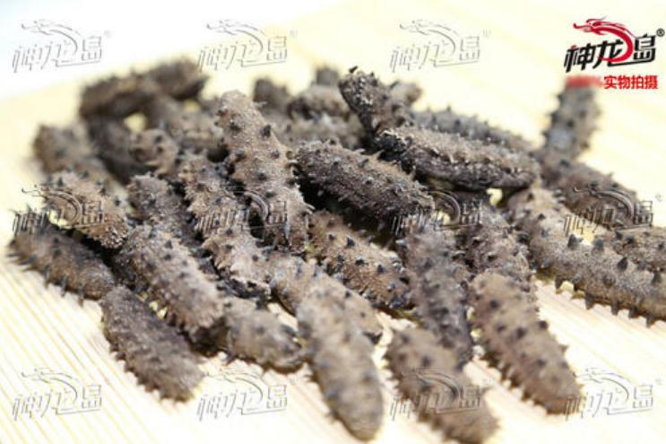 神龍島海參
