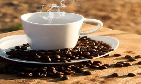 芭諾客Coffee加盟條件