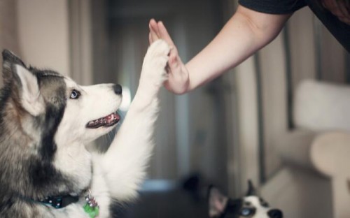 創業加盟店排行榜