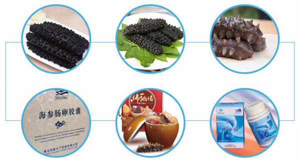 月亮灣海參加盟