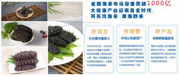 月亮灣海參加盟