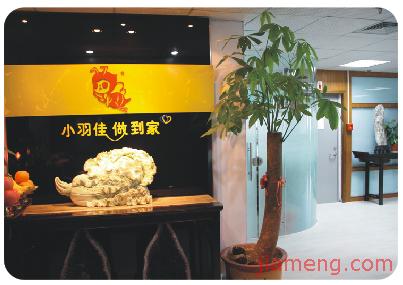 小羽佳家政加盟費用_小羽佳家政店加盟條件_小羽佳家政品牌加盟店_3