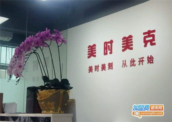 美時美克空氣凈化器加盟