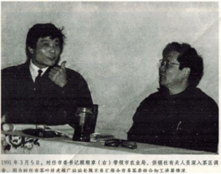 「發(fā)展」東和的鄉(xiāng)村振興，竟是源自一縷茶香？