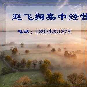 新款情侶服裝代理 情侶裝代銷 情侶服裝一件代發(fā)貨