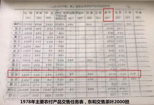 「發(fā)展」東和的鄉(xiāng)村振興，竟是源自一縷茶香？