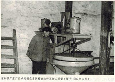 「發(fā)展」東和的鄉(xiāng)村振興，竟是源自一縷茶香？