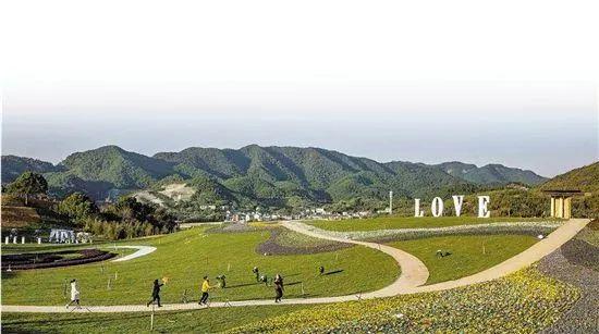 「發(fā)展」東和的鄉(xiāng)村振興，竟是源自一縷茶香？