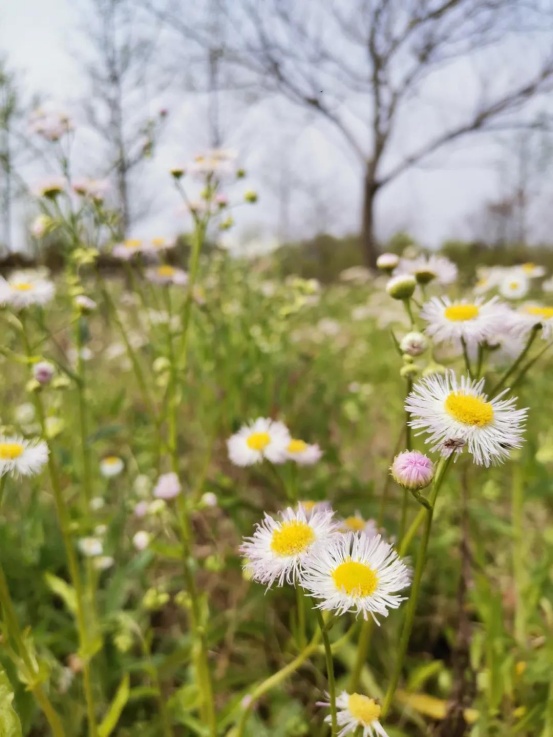 歡樂鄉(xiāng)村