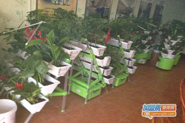 植彩坊智能加盟費(fèi)