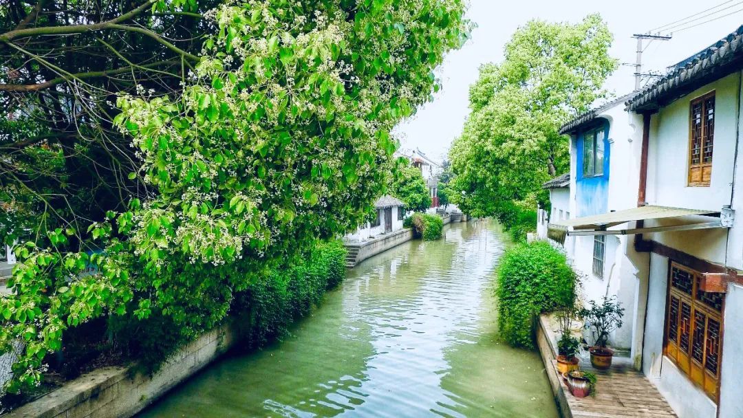 歡樂鄉(xiāng)村