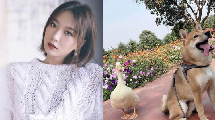 王珞丹與寵物