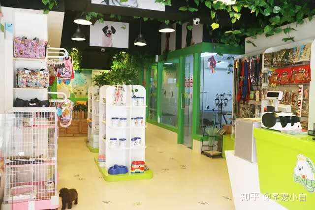 寵物狗加盟店